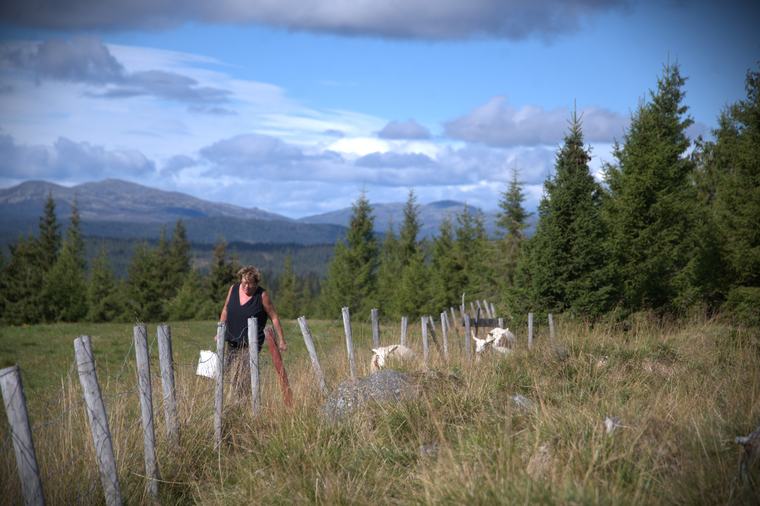 Artikkelen er for abonnenter –⁠ Det går ikke an å skjønne hvor ille det er før du står i det selv
