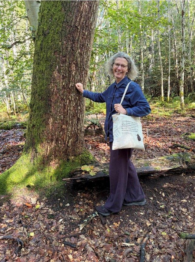 Gamle eiketrær i Retiro er verdt å «lytte til»
