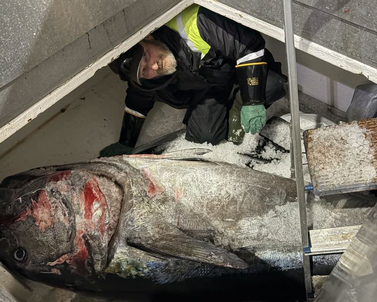 Artikkelen er for abonnenter «Langer ut» mot «Lyren»: –⁠ Han er en skikkelig luring